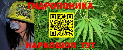 ешки Донецк