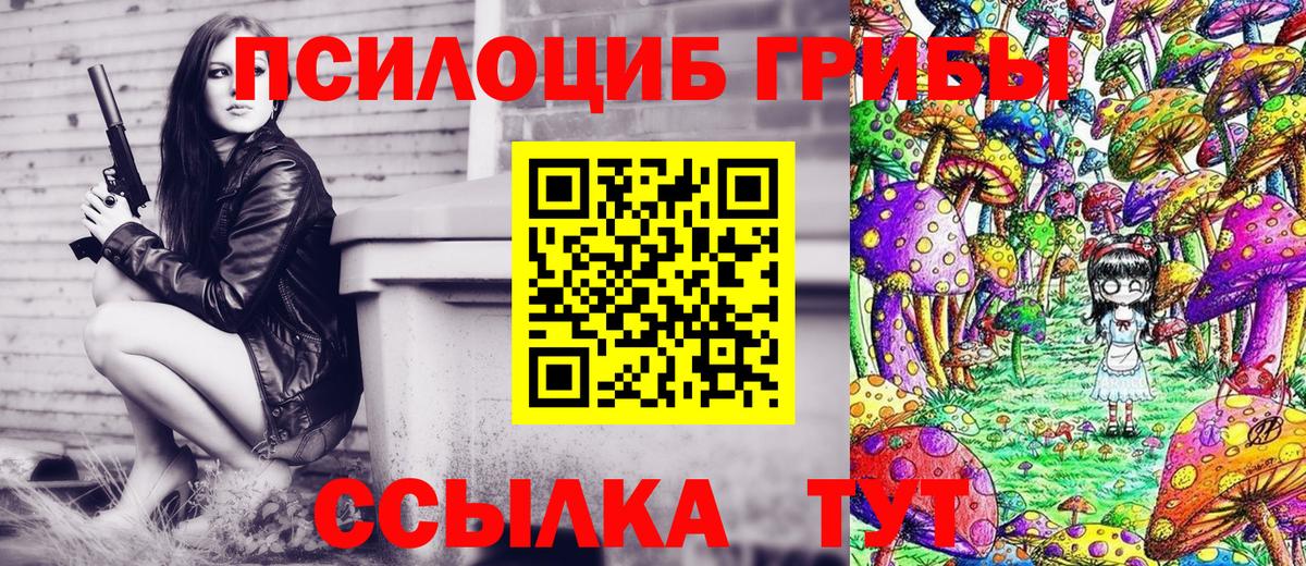 Псилоцибиновые грибы прущие грибы Каменск-Шахтинский